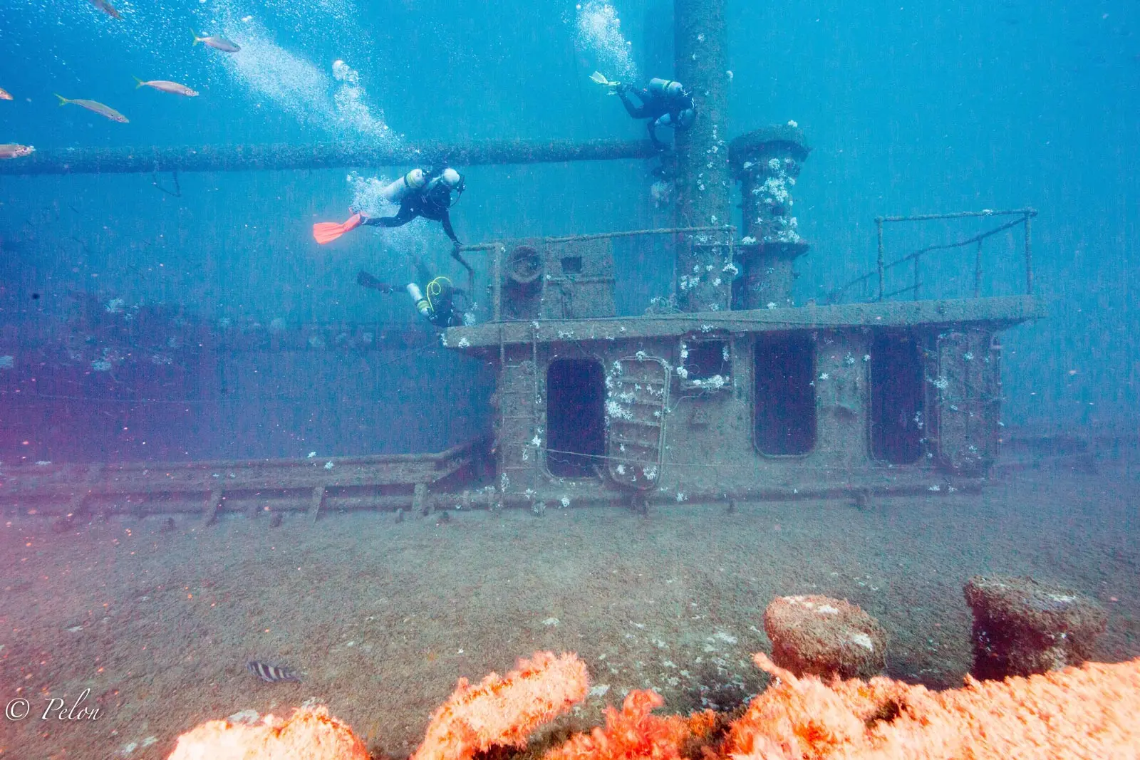 Divers exploring the Texas Clipper wreck structure with coral growth